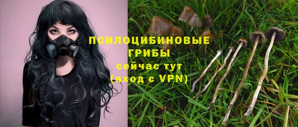 гашик Абинск